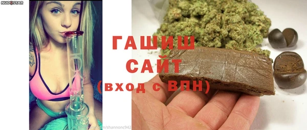 мдпв Осташков