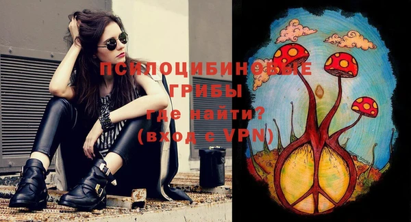 2c-b Няндома