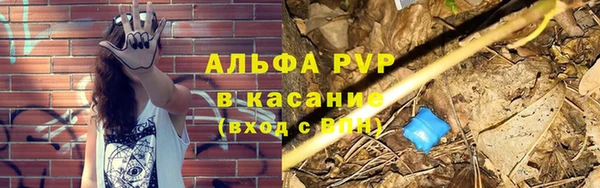 эйфоретик Грязовец