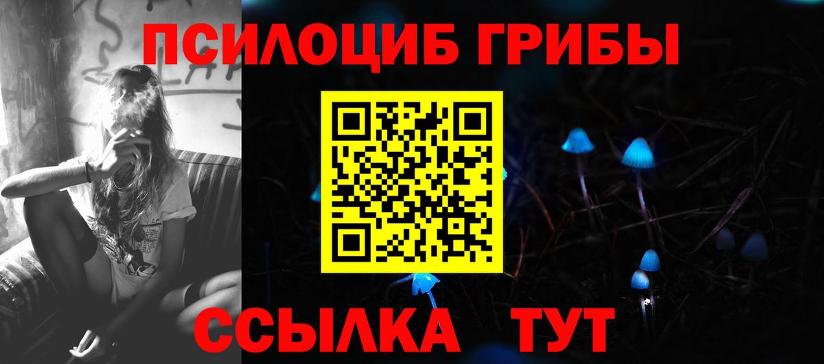 Псилоцибиновые грибы мицелий  даркнет сайт  Псилоцибиновые грибы прущие грибы  Шумерля  Вход с VPN 